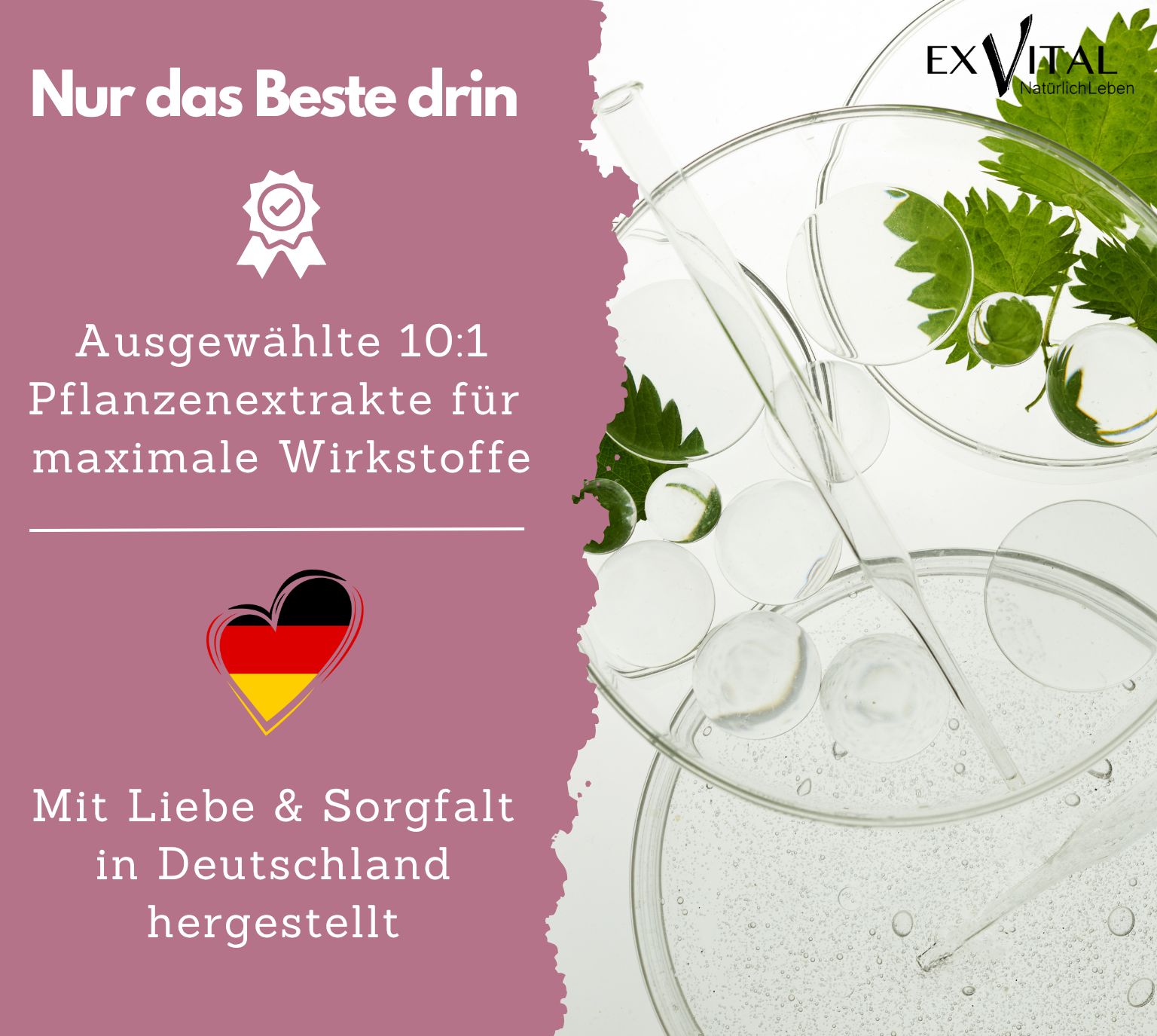 EXVital® Biotin Komplex Kapseln, hochdosiert 10.000µg Biotin pro Tag