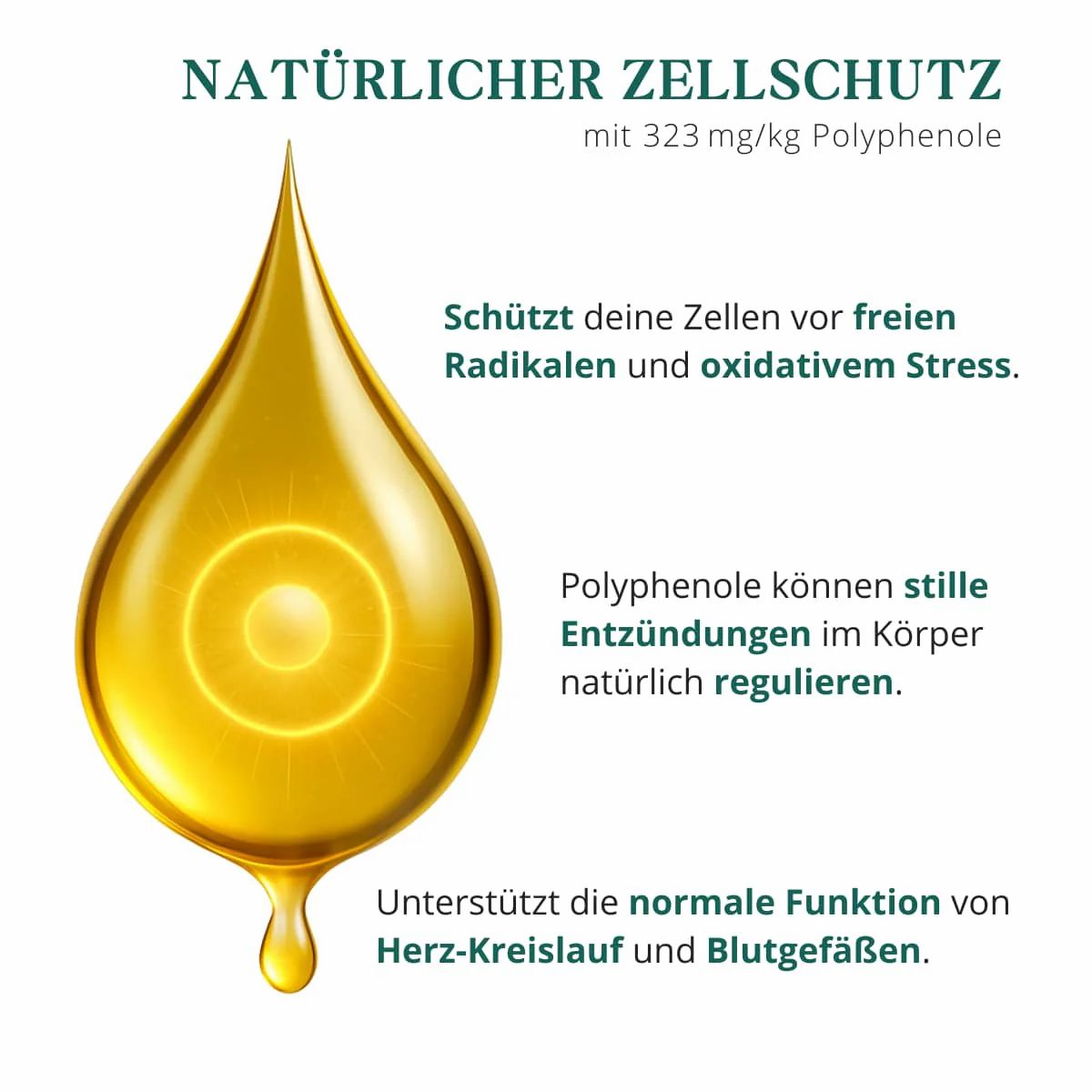 meinVitalium - Natives Bio-Olivenöl Extra (Hoher Polyphenolgehalt)
