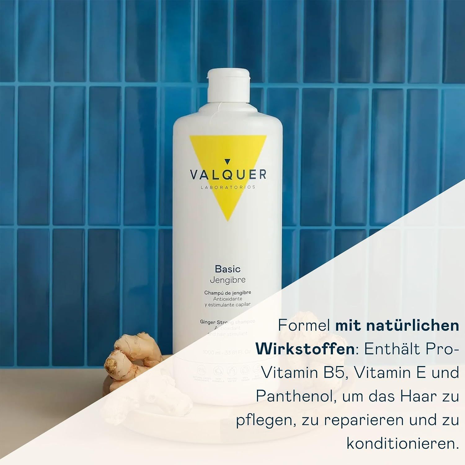 VALQUER Laboratorios Shampoo mit Ingwer-Extrakt, 1000ml.
