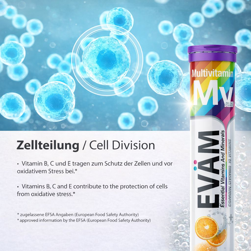 Brausetablette EVÄM. Text: Zellteilung/Cell Division. Informationen zu Vitaminen B, C und E.