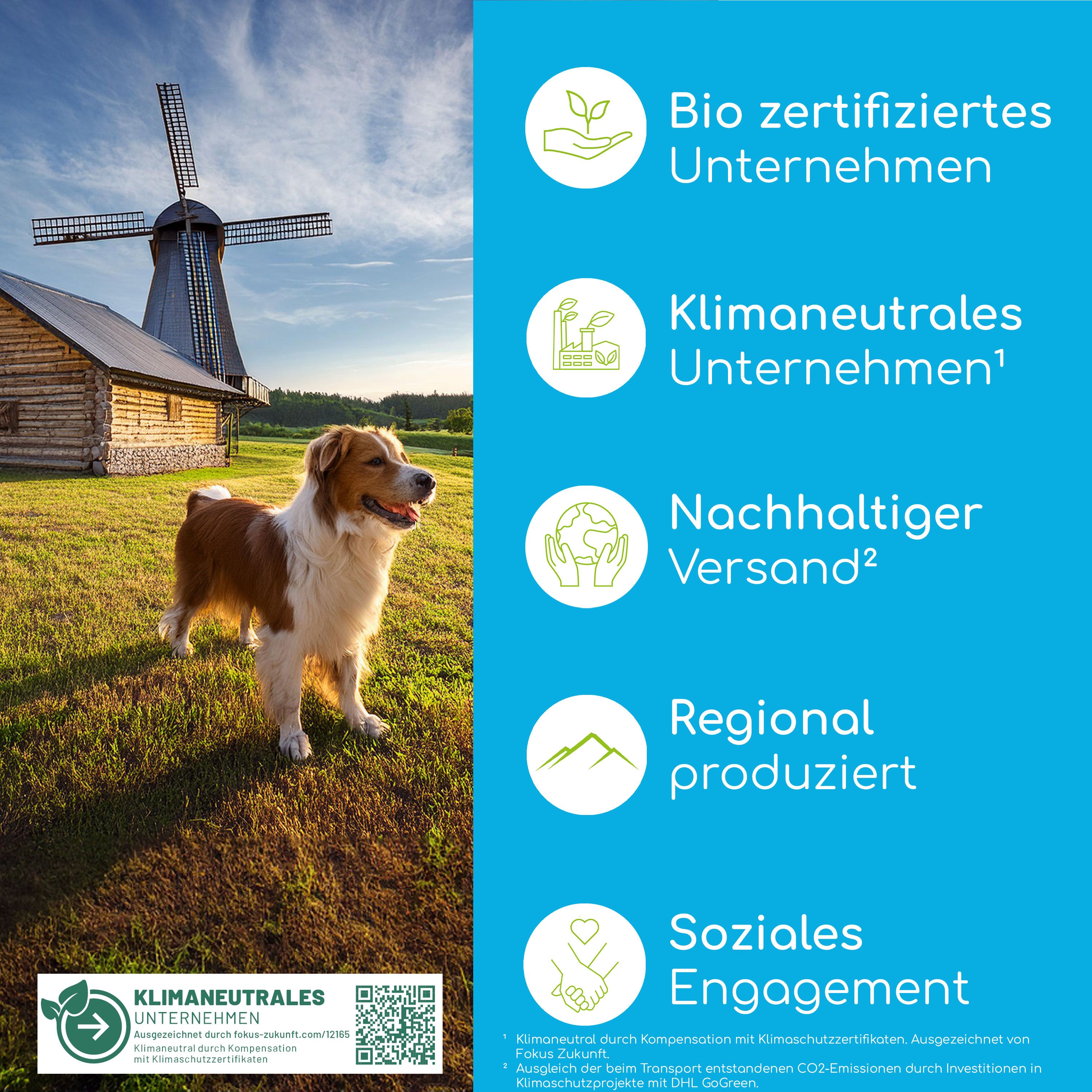 Hund vor Windmühle. Bio zertifiziertes Unternehmen, klimaneutrales Unternehmen, nachhaltiger Versand, regional produziert, soziales Engagement.