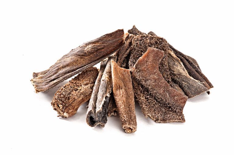 mascota vital - Rinder-Pansen