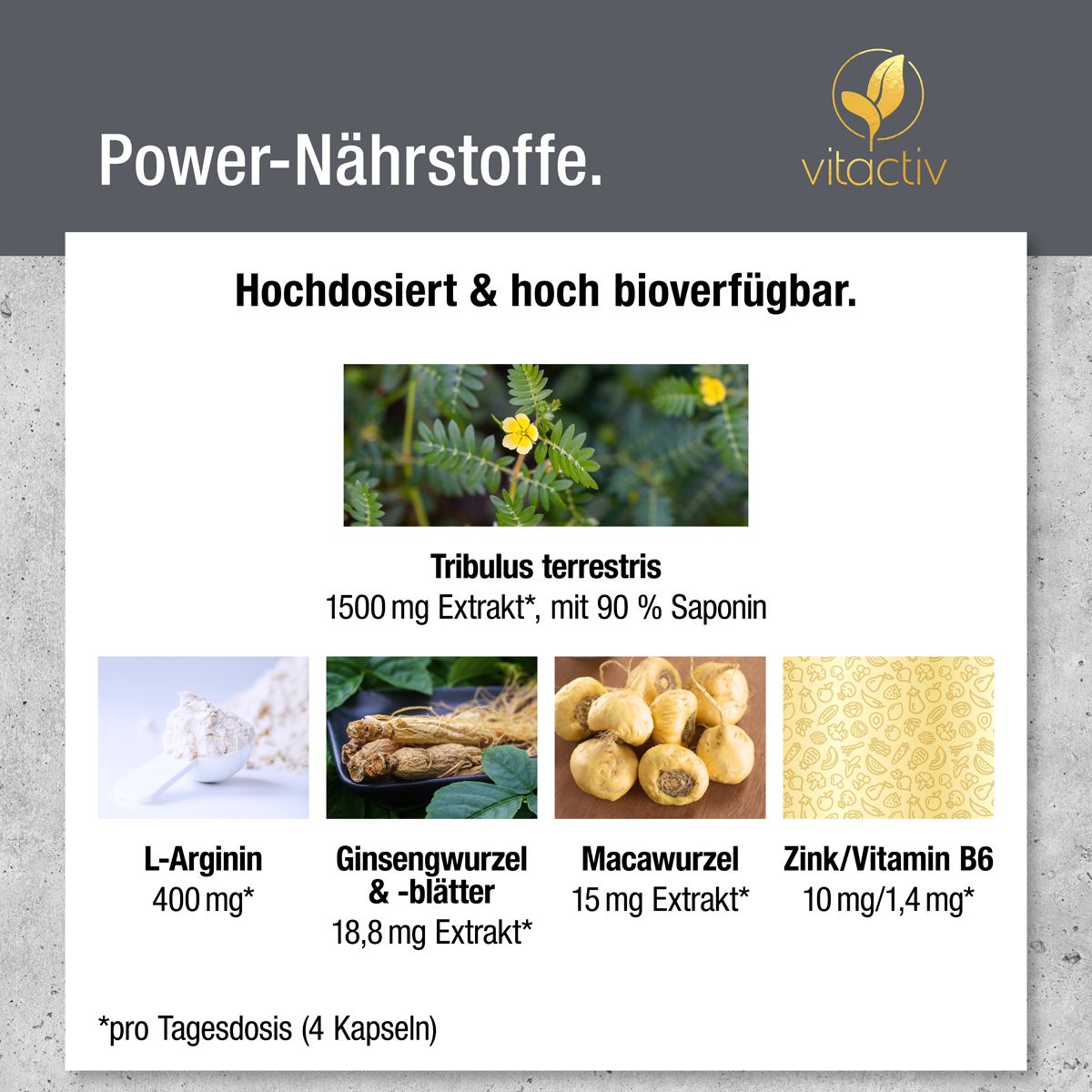 Vitactiv - Tribulus Terrestris 240 St Kapseln