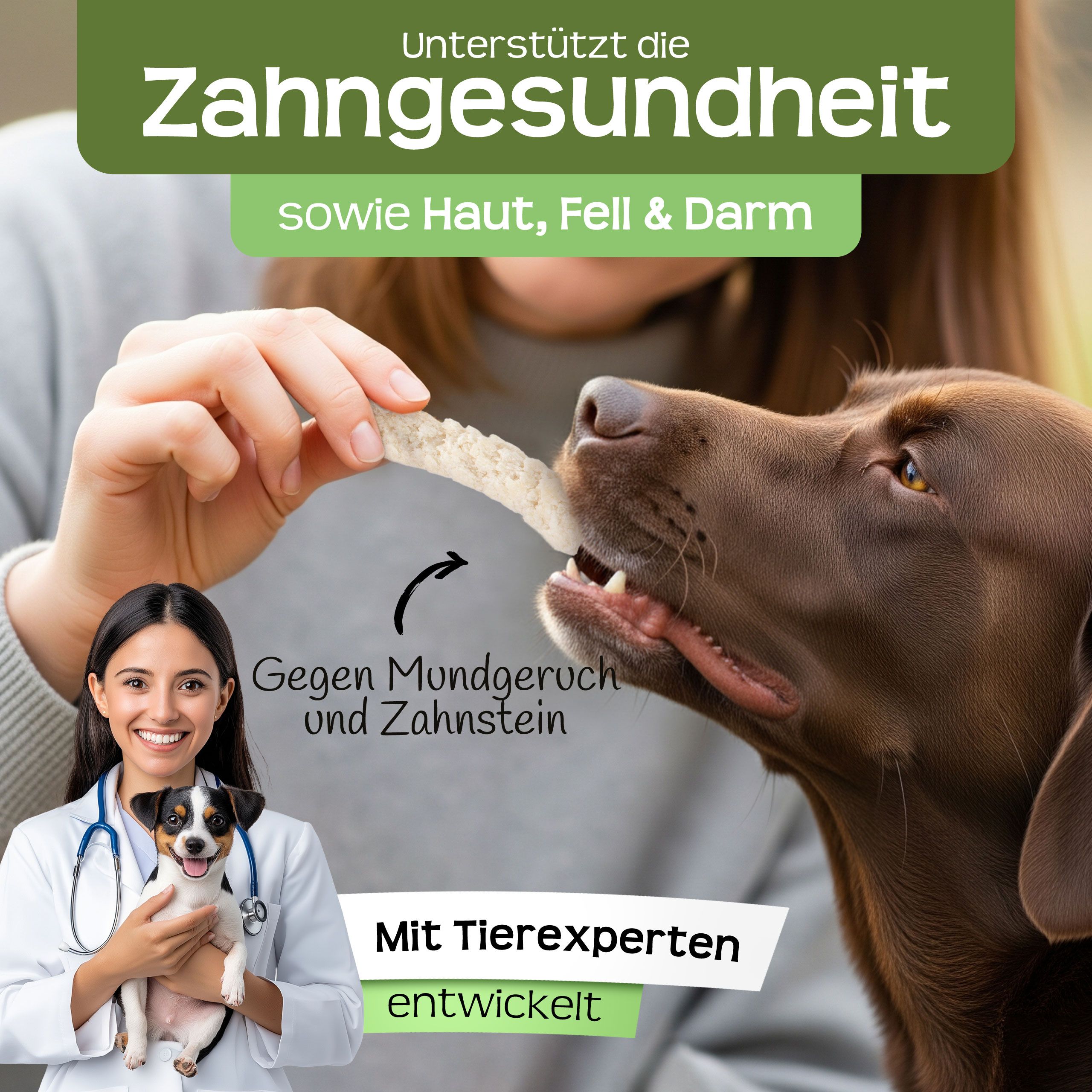 Frau gibt Hund Kokos-Stick. Text: Unterstützt die Zahngesundheit sowie Haut, Fell & Darm.