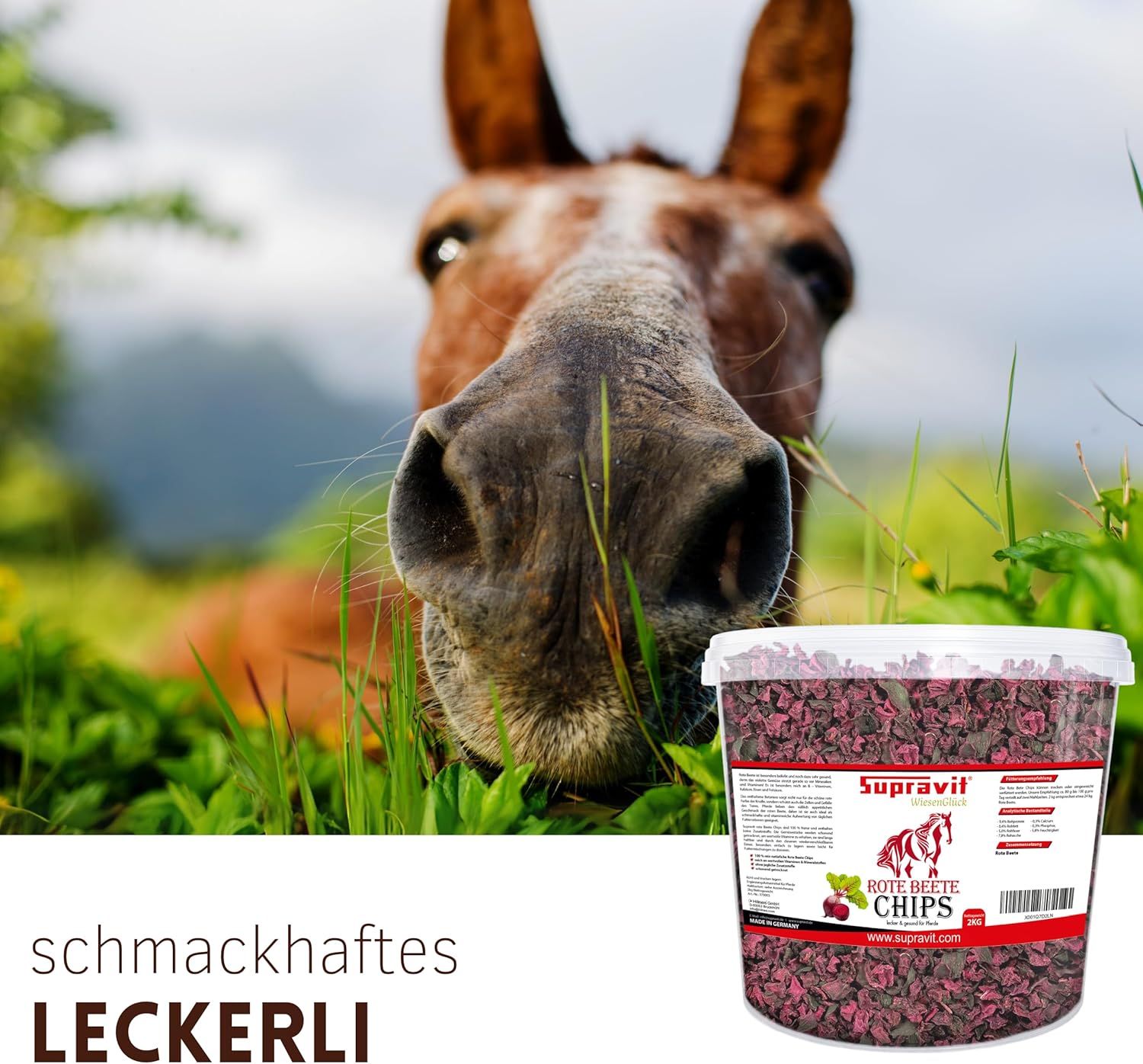 Pferdegesicht in Gras. Eimer mit Rote Bete Chips, Text: schmackhaftes Leckerli.