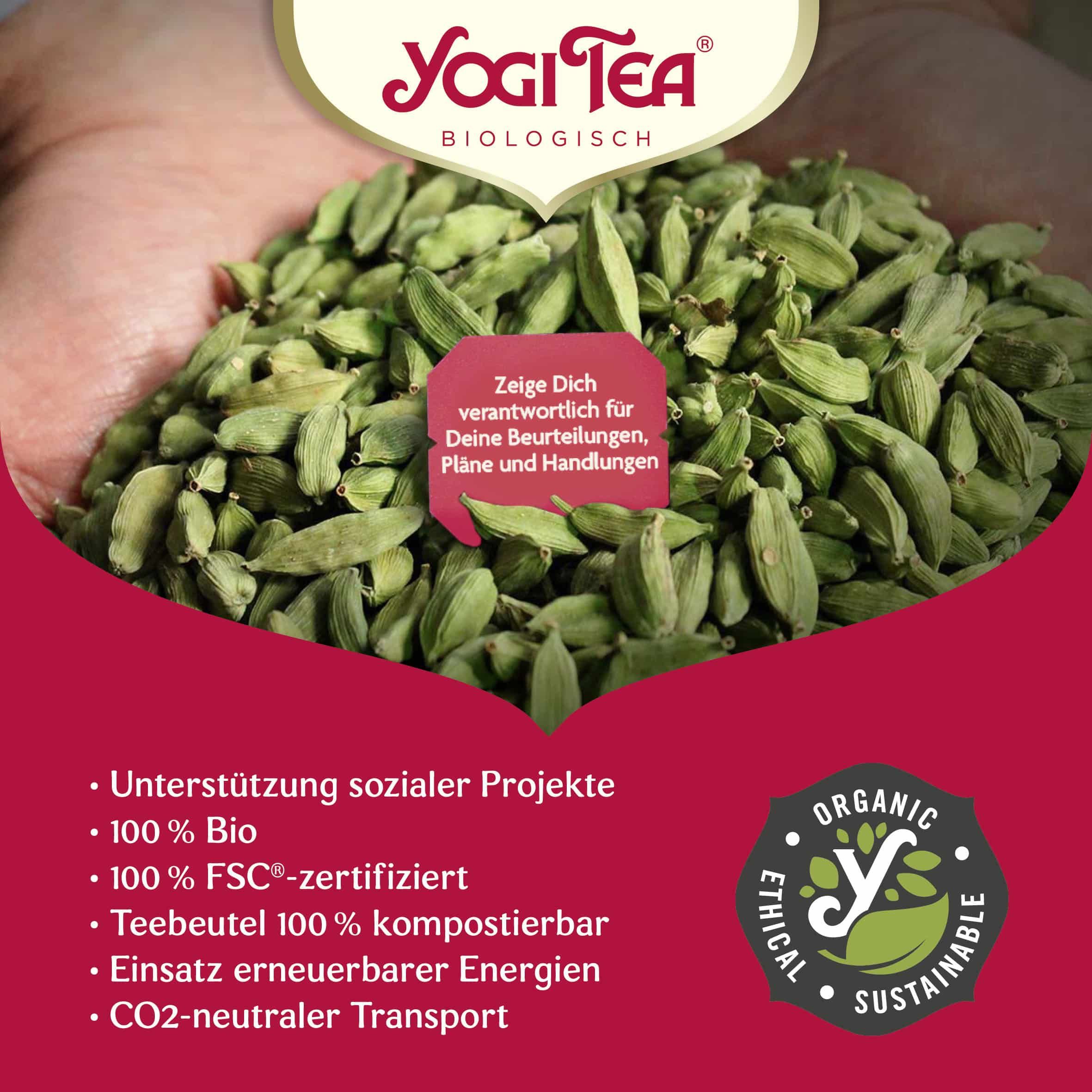 Grüne Kardamomkapseln in einer Hand. Yogi Tea Logo und Text über soziale Projekte und Bio-Zertifizierung.