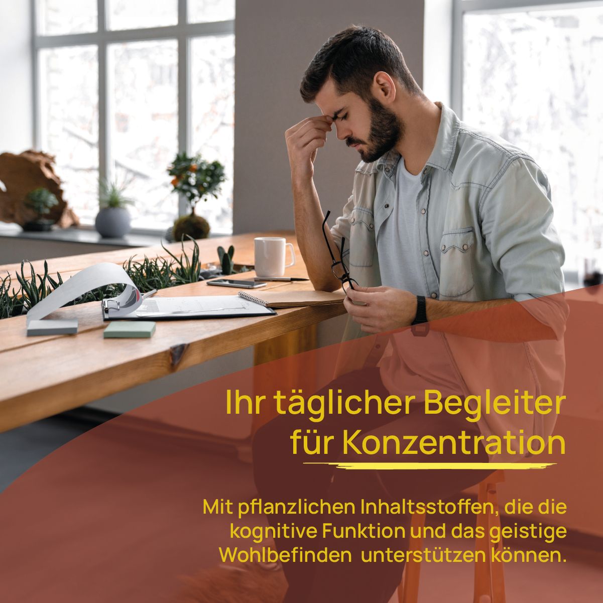 Wellpursan Gedächtnis vital +