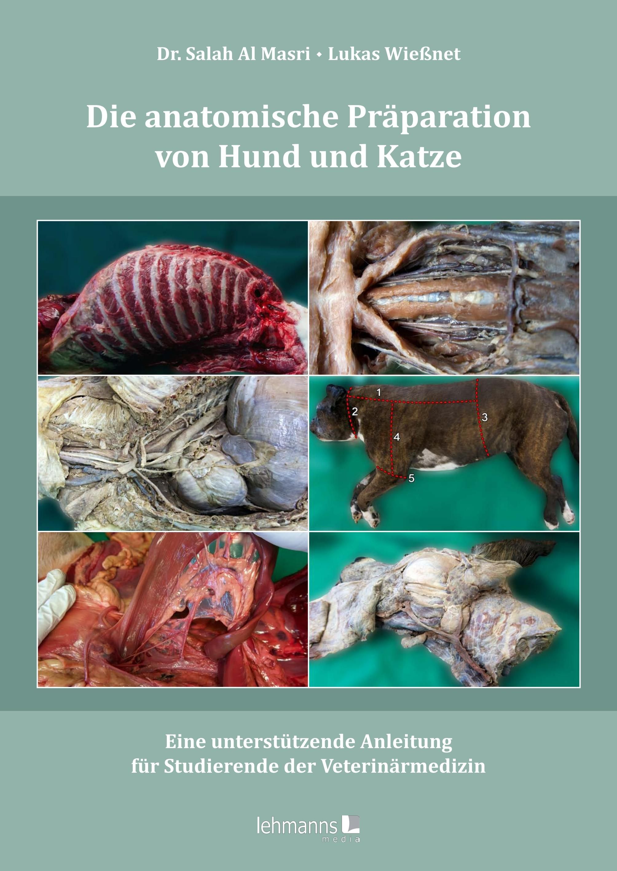 Die anatomische Präparation von Hund und Katze Eine unterstützende Anleitung für Studierende der ...