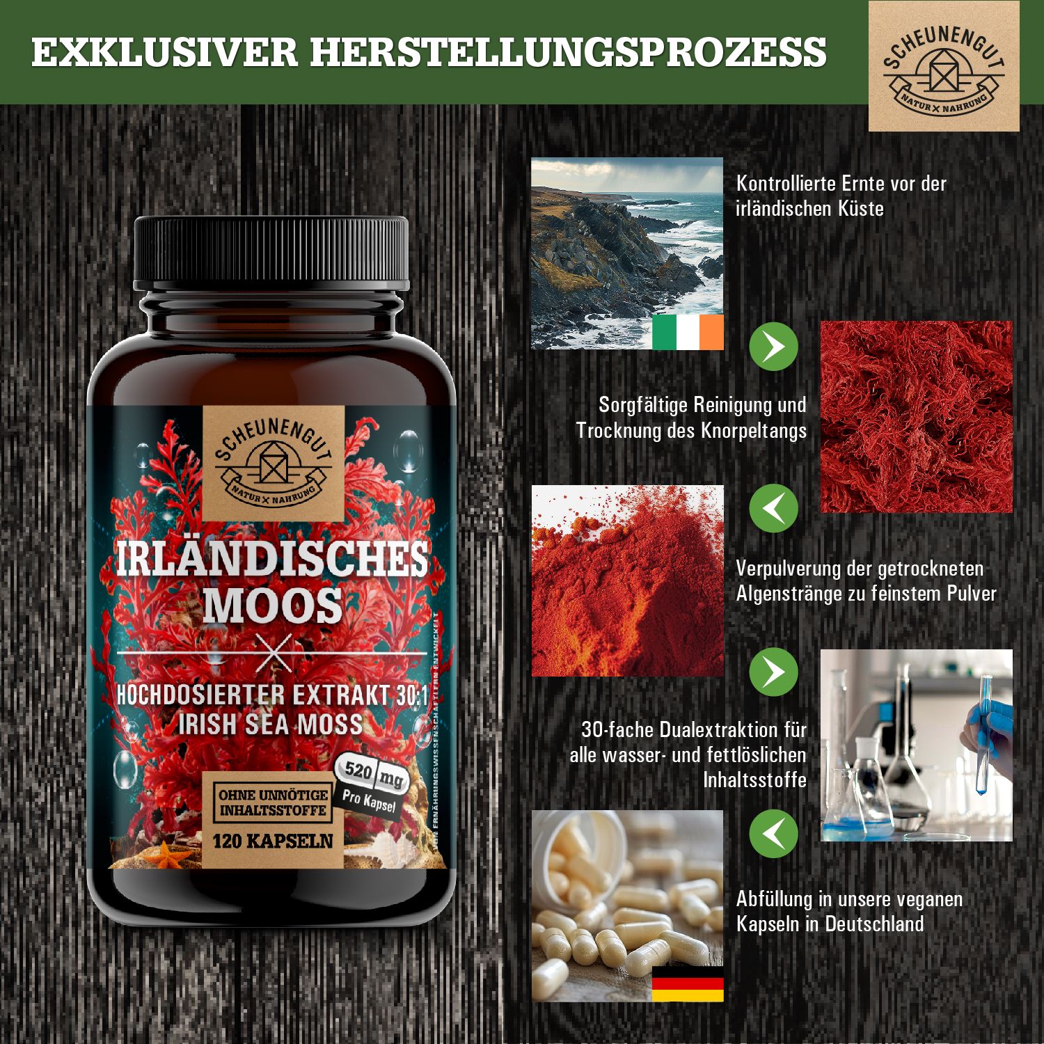 Scheunengut® Irländisches Moos - Sea Moss 30:1 Extrakt | Das Original aus Irland 120 St Kapseln