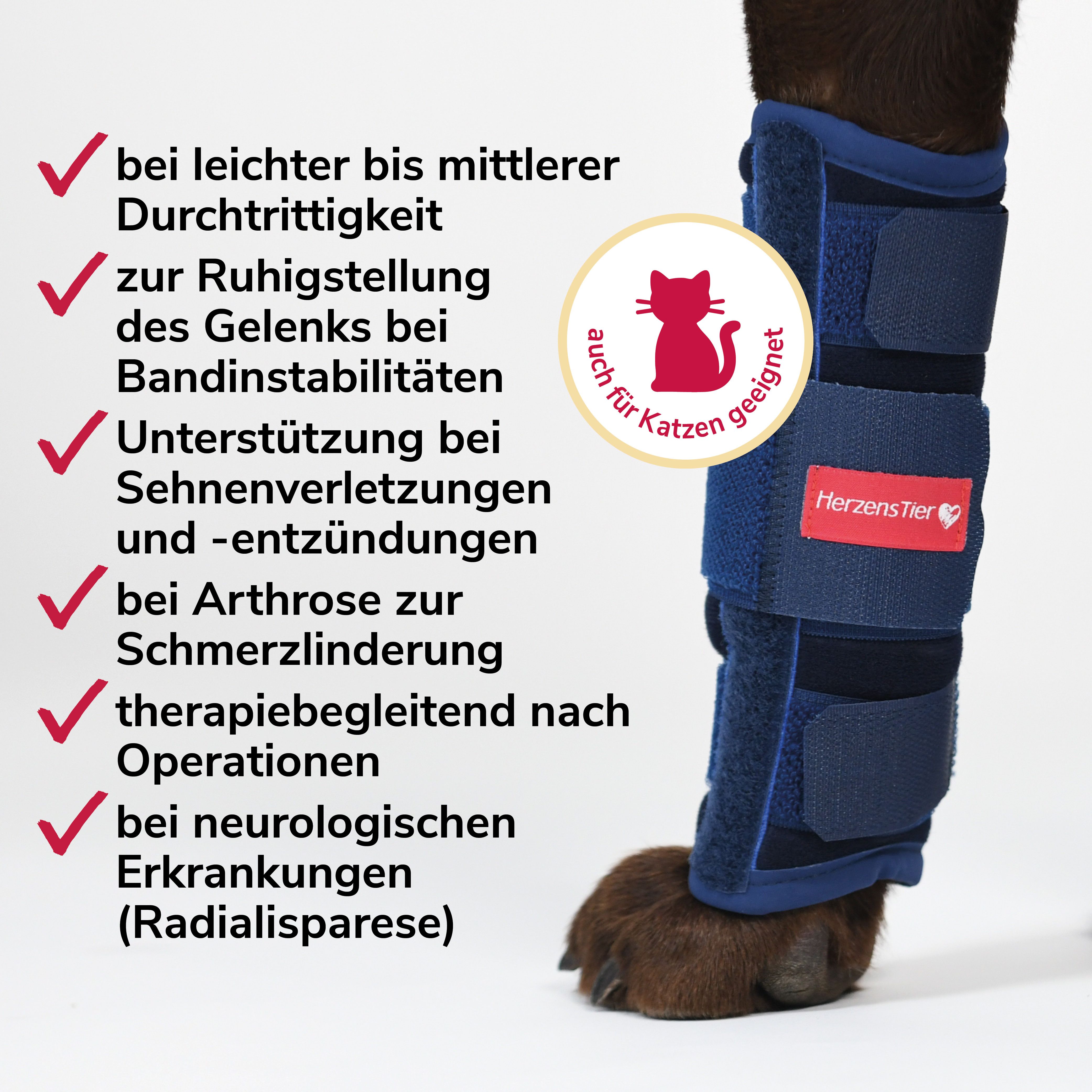 Karpalgelenkbandage am Bein eines Hundes. Text: Geeignet für Katzen. Indikationen: Arthrose, Operationen, neurologische Erkrankungen.