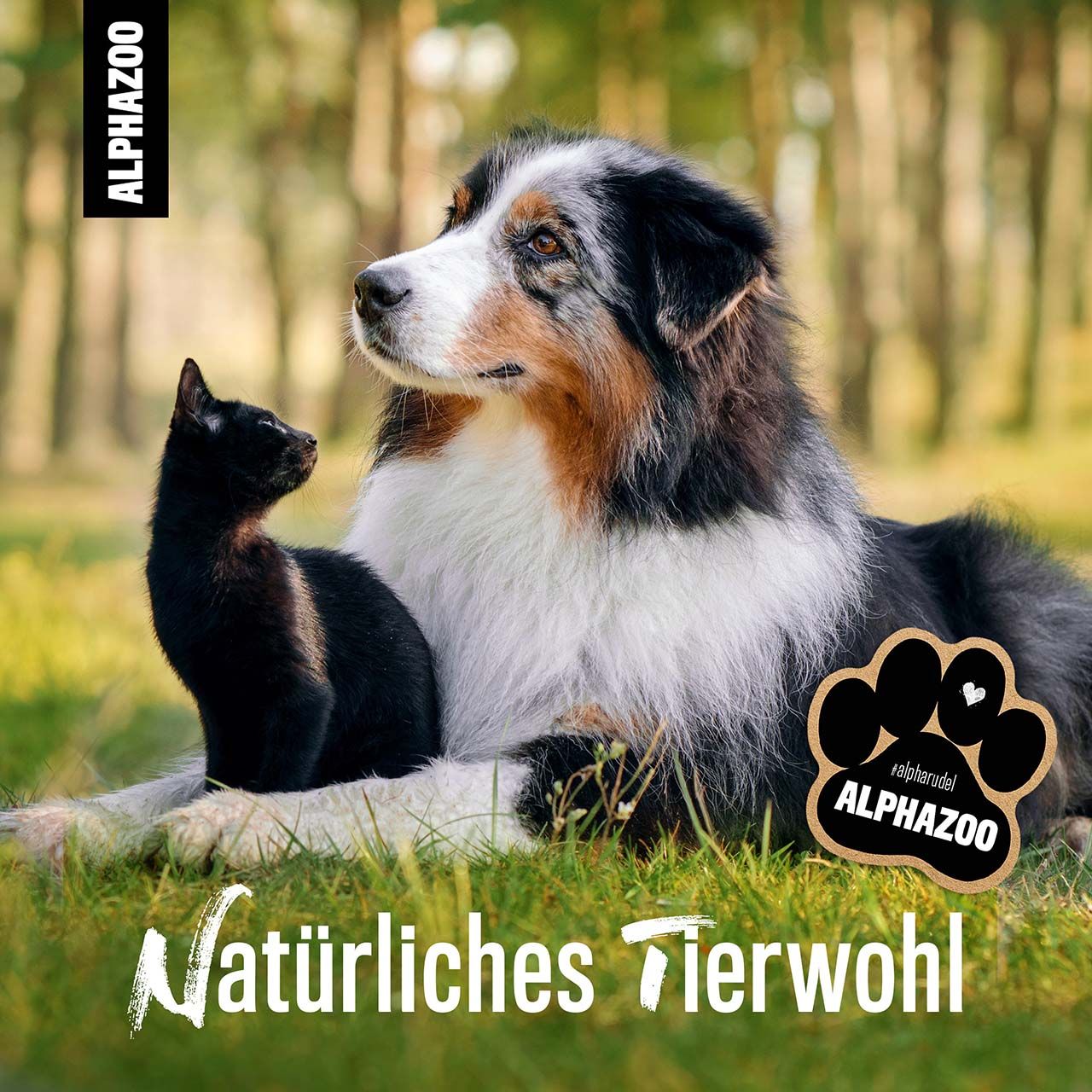 ALPHAZOO Magenruhe Bachblüten, Globuli für Hunde und Katzen
