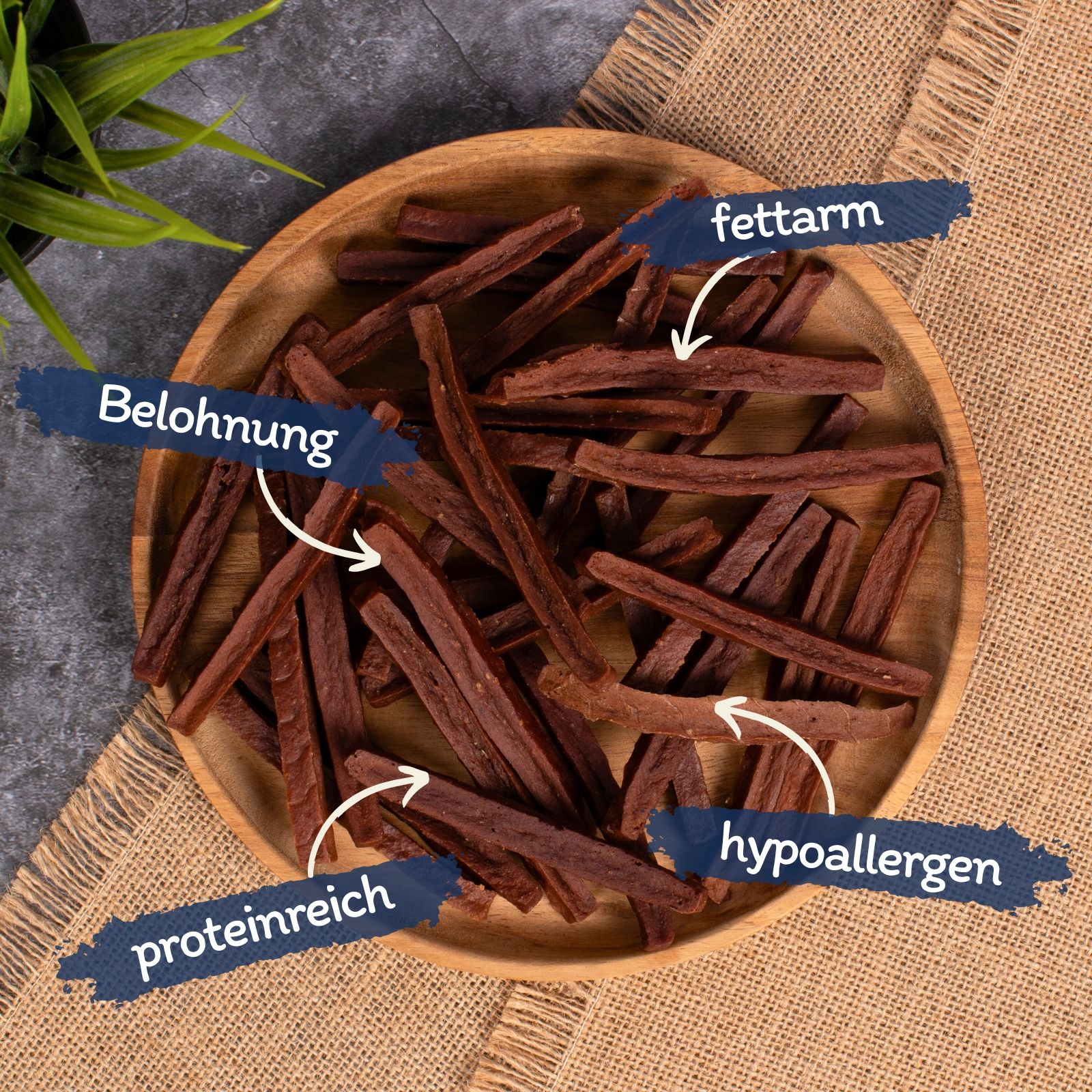 Hundeleckerlis auf einem Holzteller, mit Pfeilen, die auf 'fettarm', 'Belohnung', 'proteinreich', 'hypoallergen' zeigen.