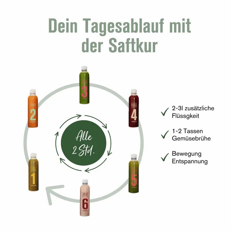 7-Tage Klassik Saftkur (inkl. 10,50€ Pfand)