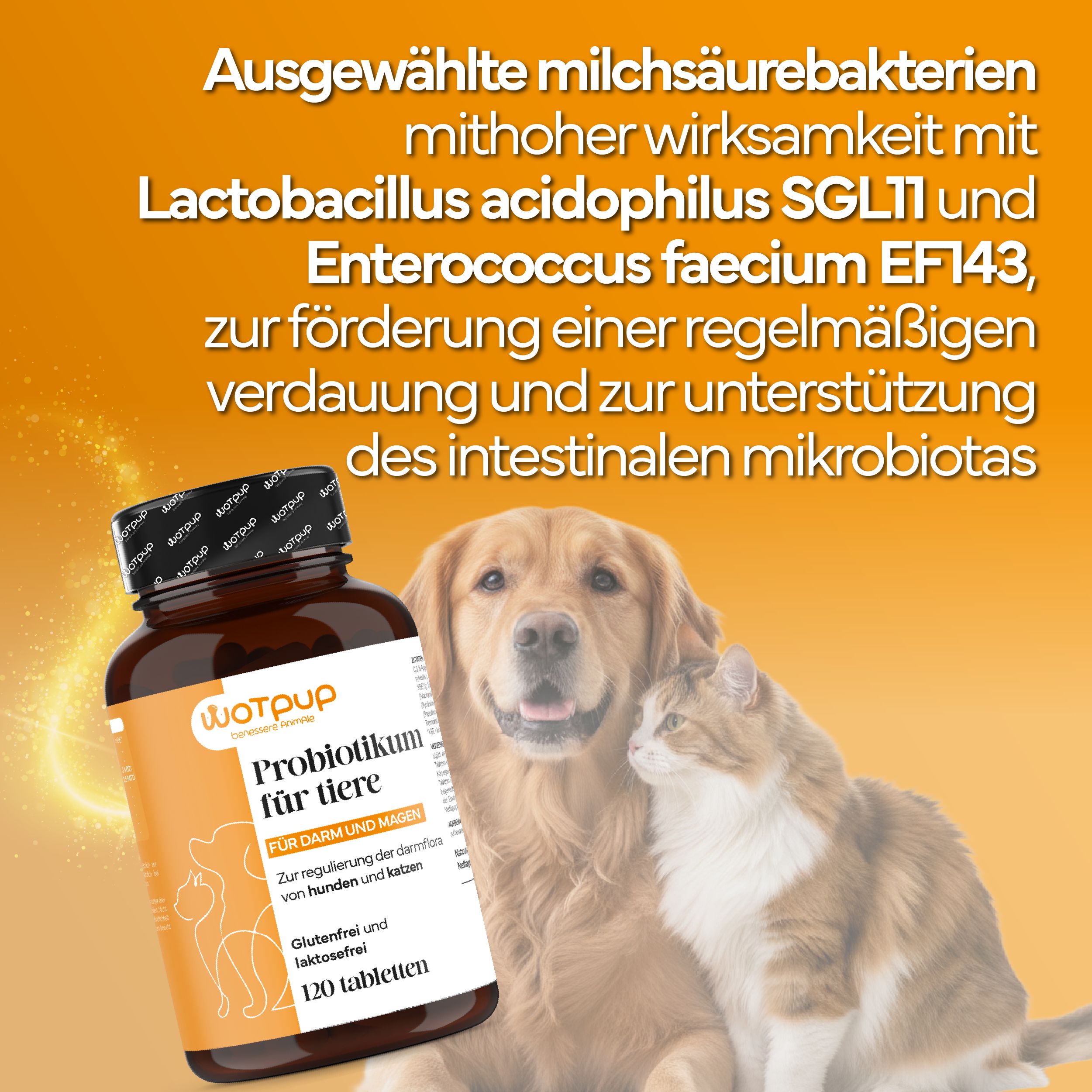 LA.GA. Probiotika für Hunde & Katzen – Natürliche Unterstützung für Darmflora & Immunsystem