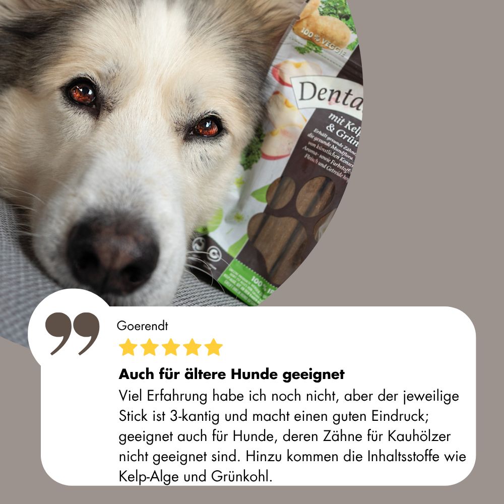 Hund liegt neben einer Packung Dental-Snacks mit Kelp-Alge & Grünkohl.
