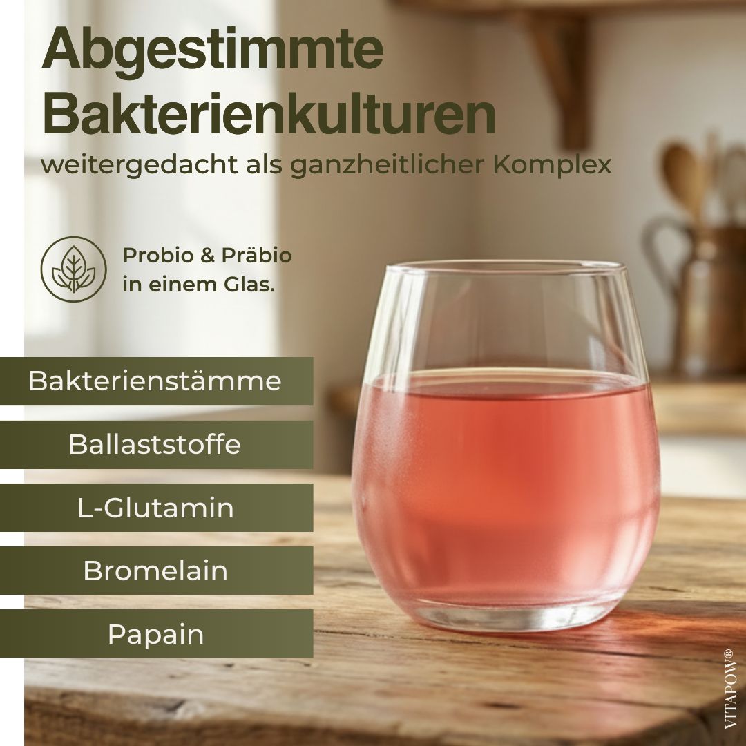 Vitapow Probiotika Bakterienkulturen Komplex – 10 Mrd. KBE · 20 Stämme · 30 Portionen