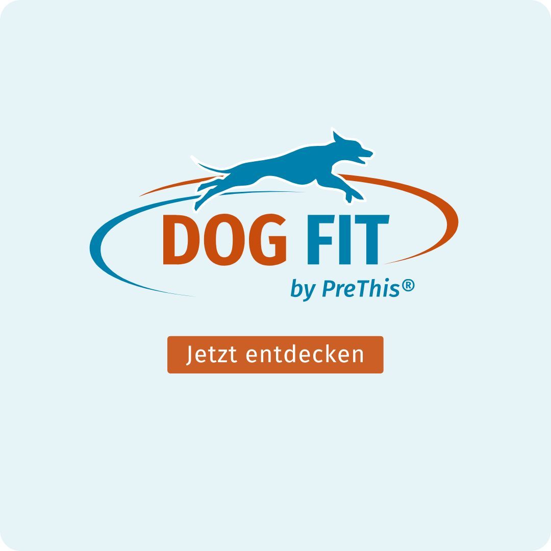 Logo DOG FIT by PreThis®. Text: Jetzt entdecken. Orangefarbener Button.