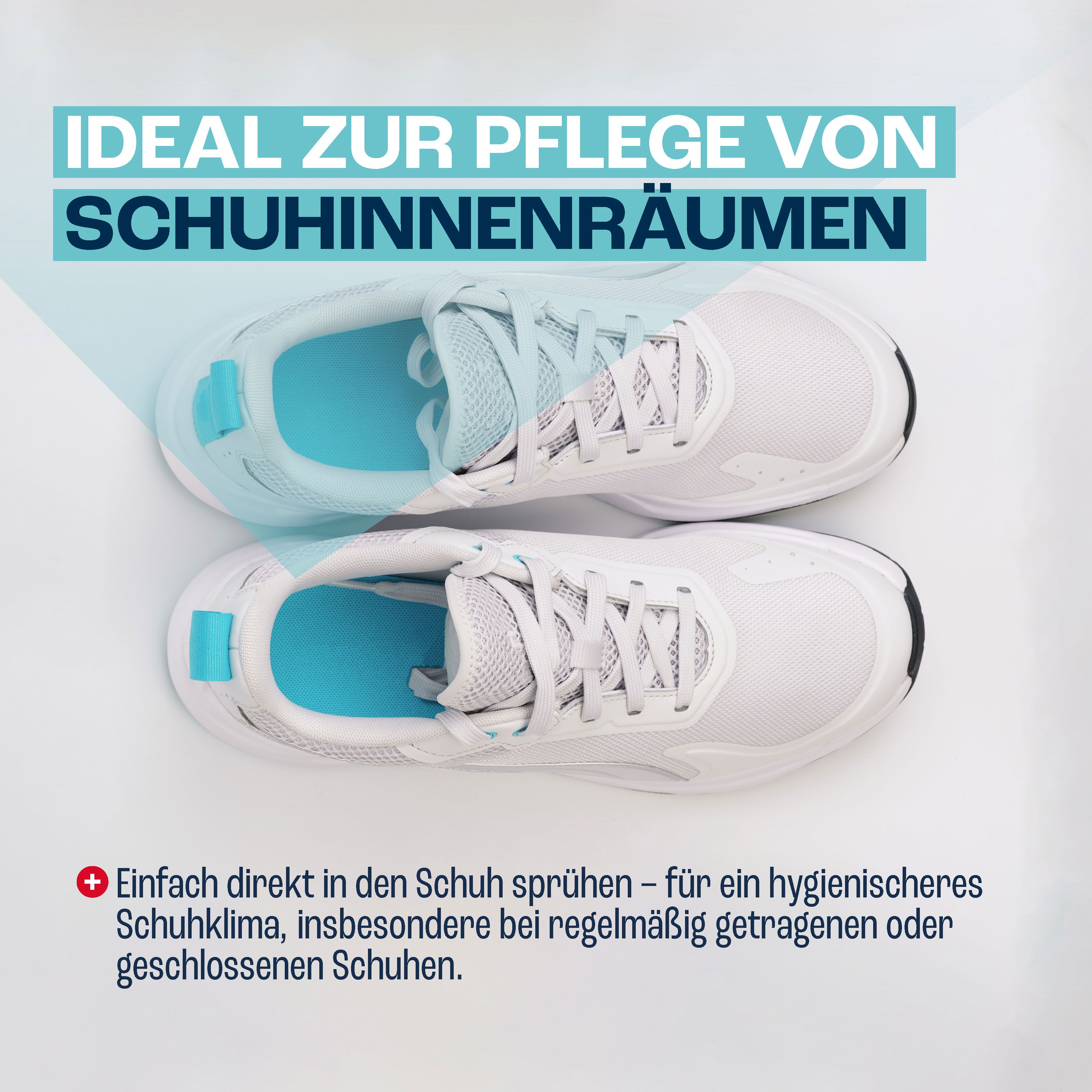 GOaktiv Schuhdesinfektionsspray 100ml