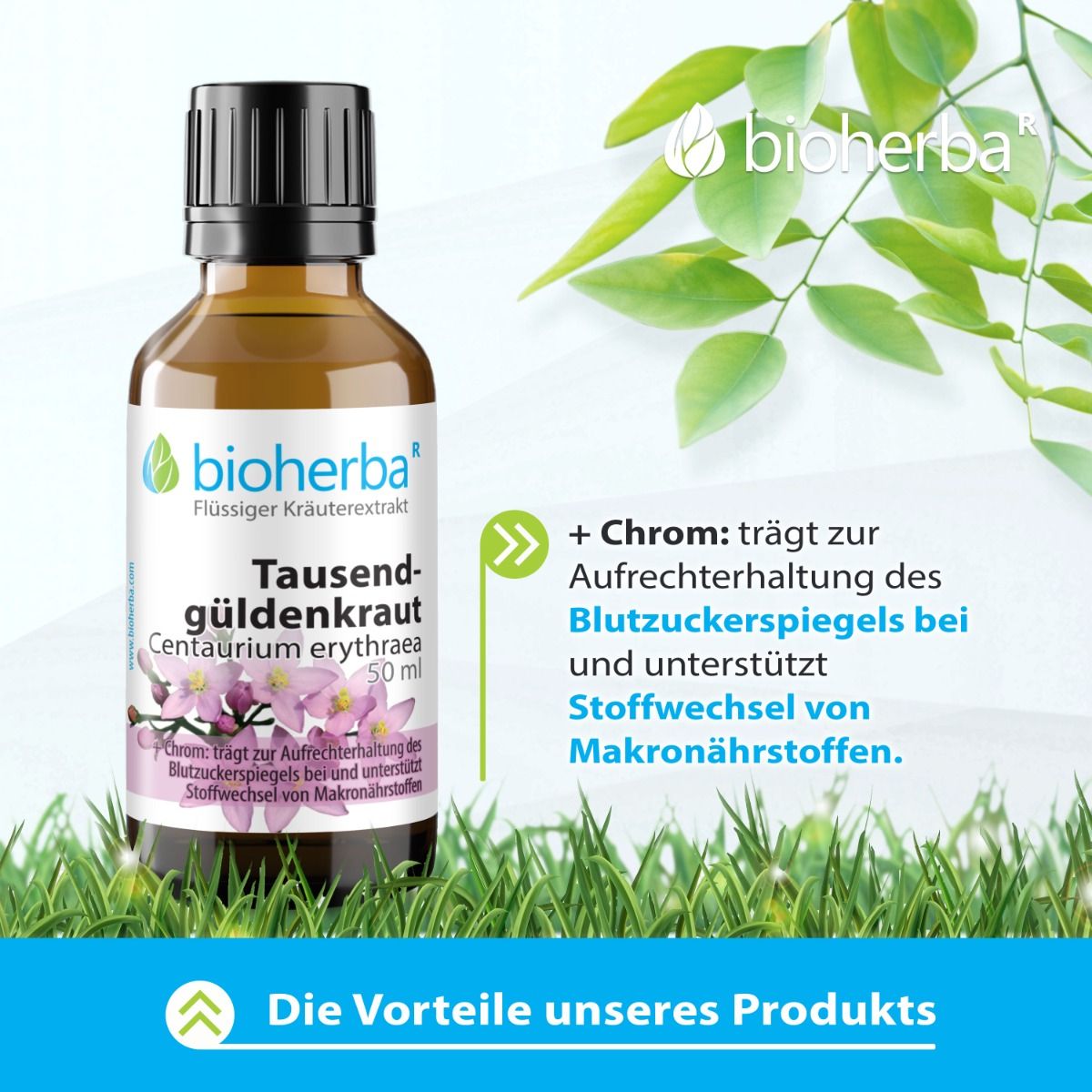 Tausendgüldenkraut Tropfen Tinktur 50 ml PZN 17187830