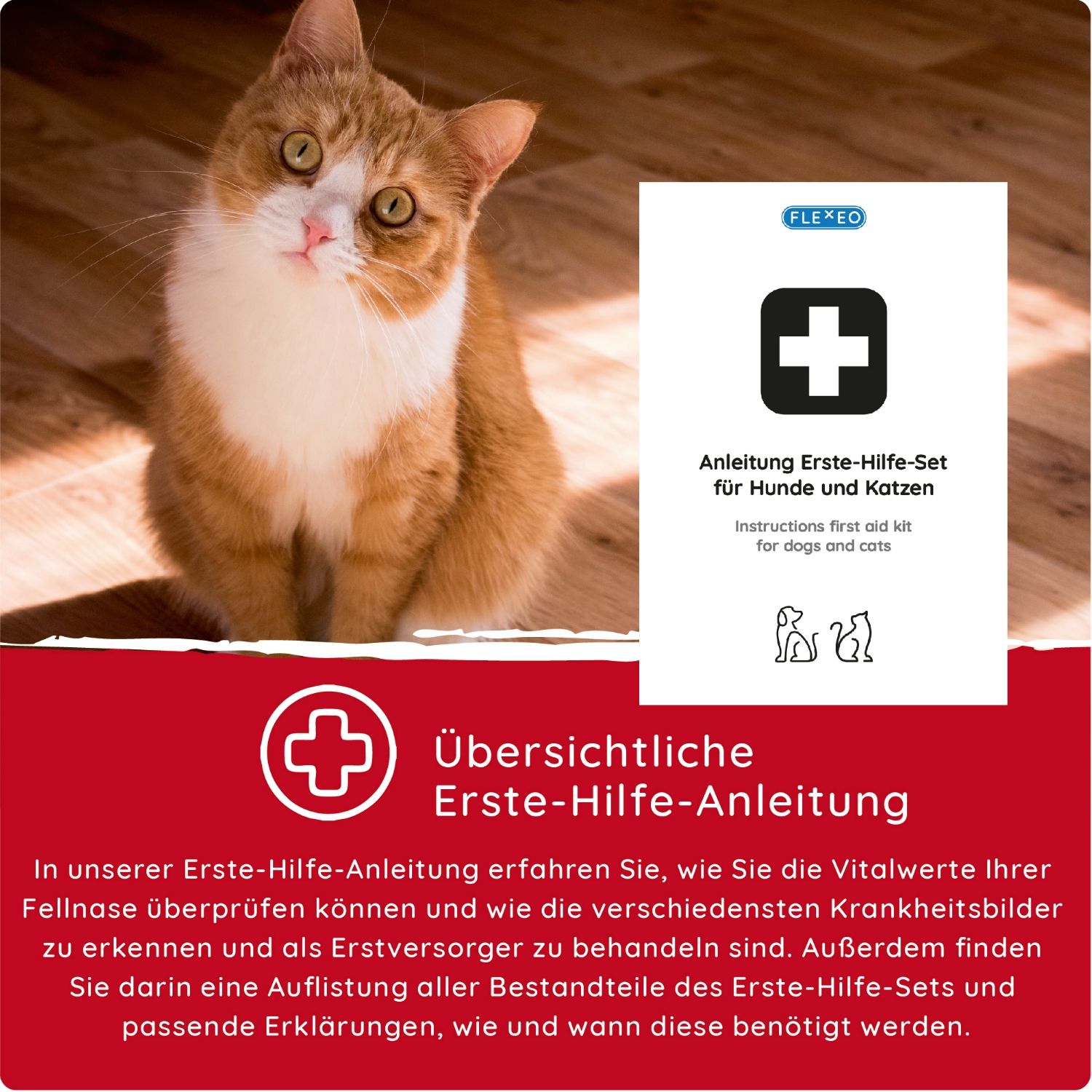 Anleitung Erste-Hilfe-Set für Hunde und Katzen. Weißes Papier mit schwarzem Kreuz und Text. Katze im Hintergrund.