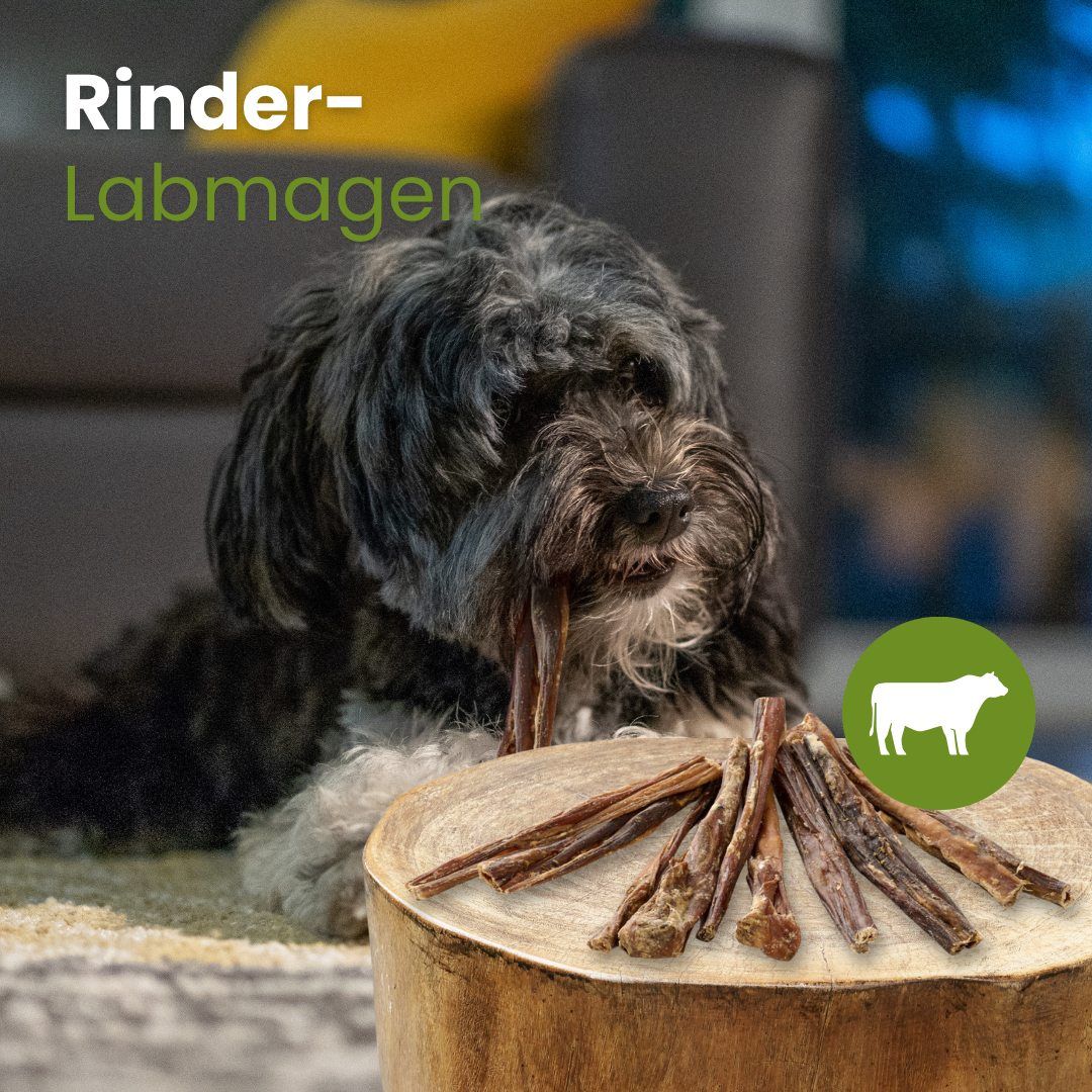Ein Hund kaut auf einem getrockneten Rinder-Labmagen-Streifen.
