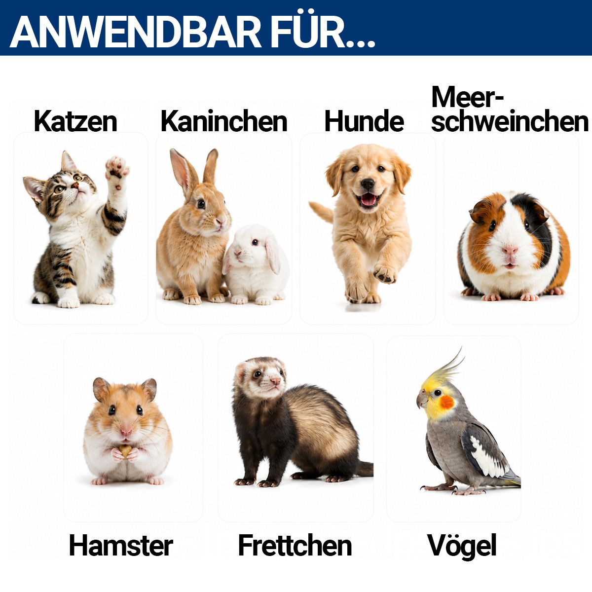 PetFox Krallenschere Krallenzange für Hunde, Katzen und Kleintiere