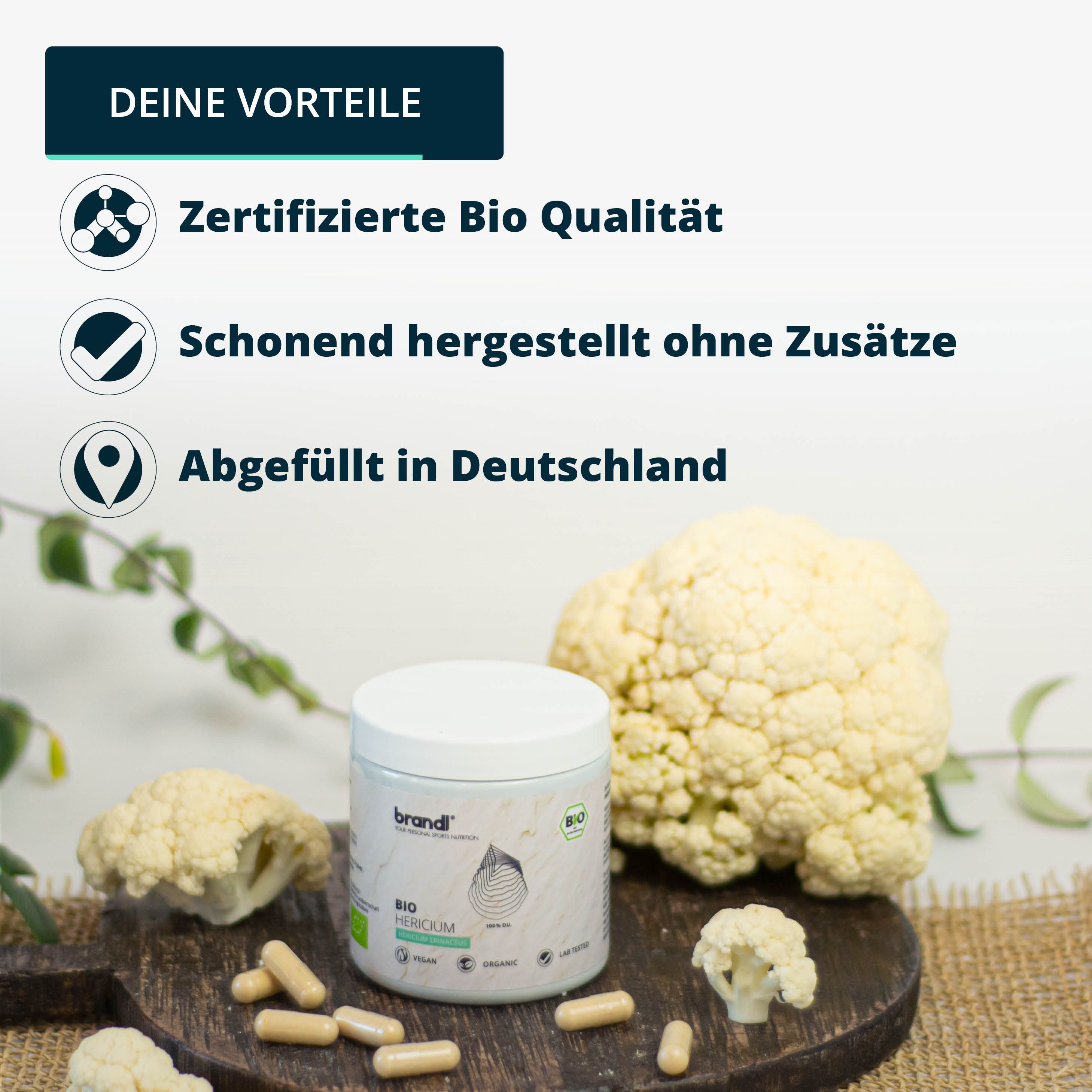 brandl® Bio Lions Mane (Hericium Erinaceus) Vitalpilz 240 St 